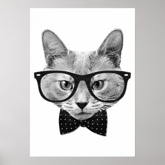 Affiche Chat hippique vintage