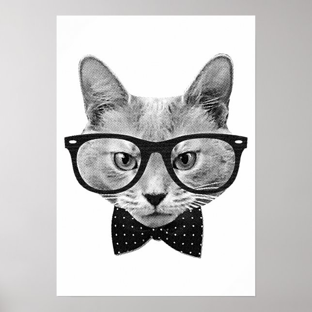 Affiche Chat hippique vintage (Devant)