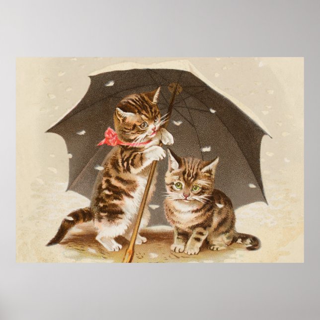 Affiche Chat Kitten chaton antique vintage jolie mignonne (Devant)