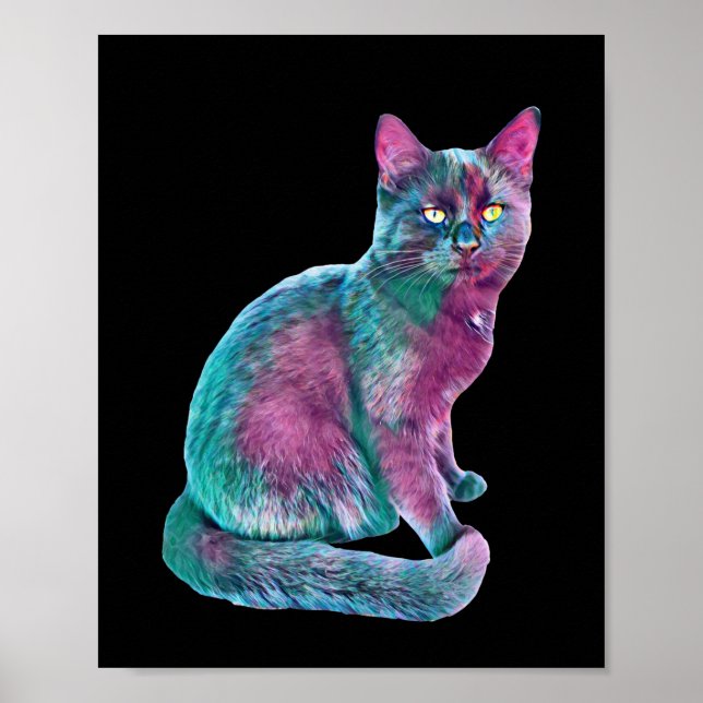 Affiche Chat Kitten Cute Fourrure Nez Animaux Amusants (Devant)