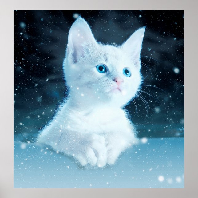 Affiche Chat kitty neige art animal nature (Devant)