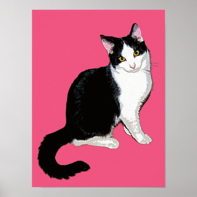 Affiche Chat Kitty, noir et blanc sur rose chaud (Devant)