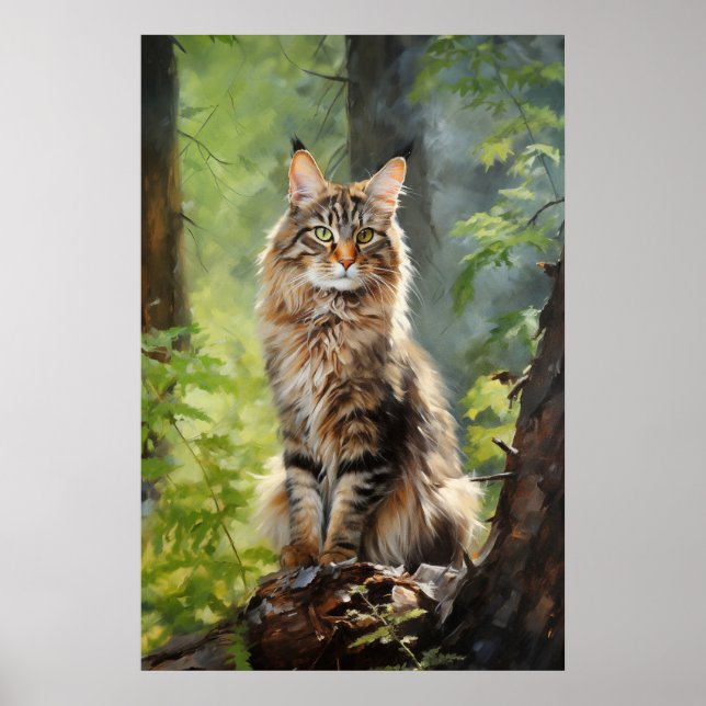 Affiche chat Maine Coon (Devant)