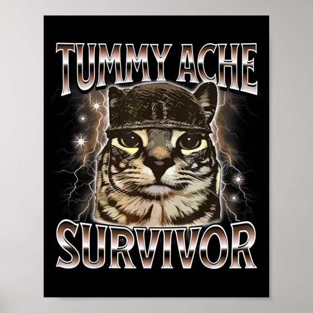 Affiche Chat Mème Survivant de Mal de Ventre Drôle (Devant)