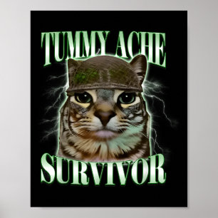 Affiche Chat Mème Survivant Mal Au Ventre Drôle Humour Dic