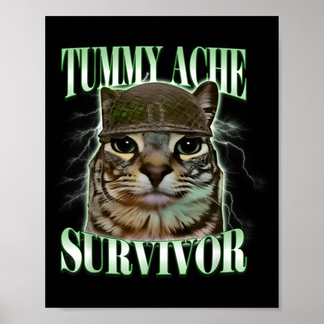 Affiche Chat Mème Survivant Mal Au Ventre Drôle Humour Dic (Devant)