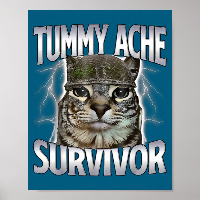 Affiche Chat Mème Survivant Mal de Ventre Drôle (Devant)