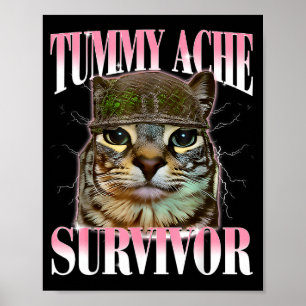 Affiche Chat Mème Survivant Mal De Ventre Drôle De Dicton