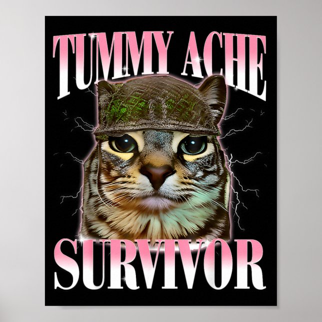 Affiche Chat Mème Survivant Mal De Ventre Drôle De Dicton  (Devant)