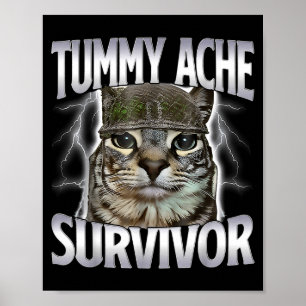 Affiche Chat Mème Survivant Mal De Ventre Drôle De Dicton