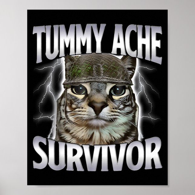 Affiche Chat Mème Survivant Mal De Ventre Drôle De Dicton  (Devant)