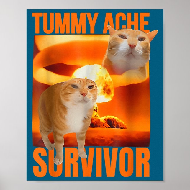 Affiche Chat Mème Survivant Mal De Ventre Drôle Dicton Ani (Devant)
