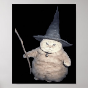 Affiche Chat mignon drôle sorcier chat étrange mignon chat