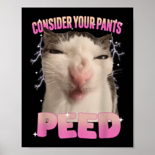 Affiche Chat mignon qui a fait pipi sur votre pantalon Mèm