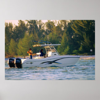 Affiche Chat mondial 250SF