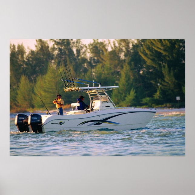 Affiche Chat mondial 250SF (Devant)