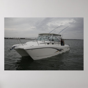 Affiche Chat mondial 320EC