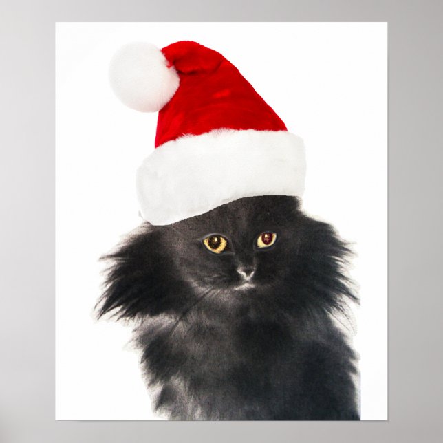 AFFICHE CHAT NOËL NOIR AVEC CASQUETTE SANTA CLAUS (Devant)