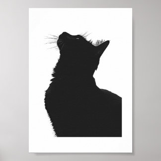 Affiche Chat noir