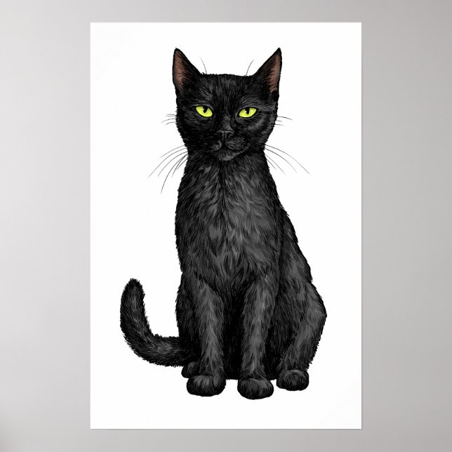 Affiche Chat noir (Devant)