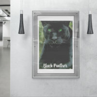 Chat noir avec les yeux verts