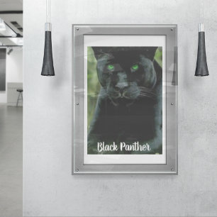 Affiche Chat noir avec les yeux verts
