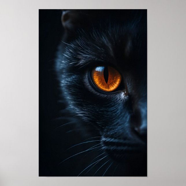 Affiche Chat noir avec œil ambre (Devant)