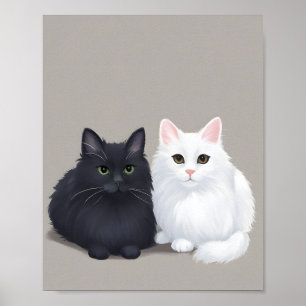 Affiche chat noir blanc