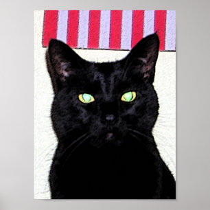 Affiche Chat noir/bleu blanc rouge
