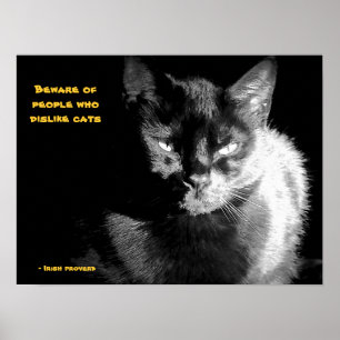 Affiche Chat noir brillant avec le proverbe