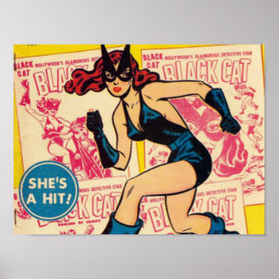 Affiche Chat Noir, c'est un succès