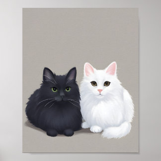 Affiche chat noir chat blanc