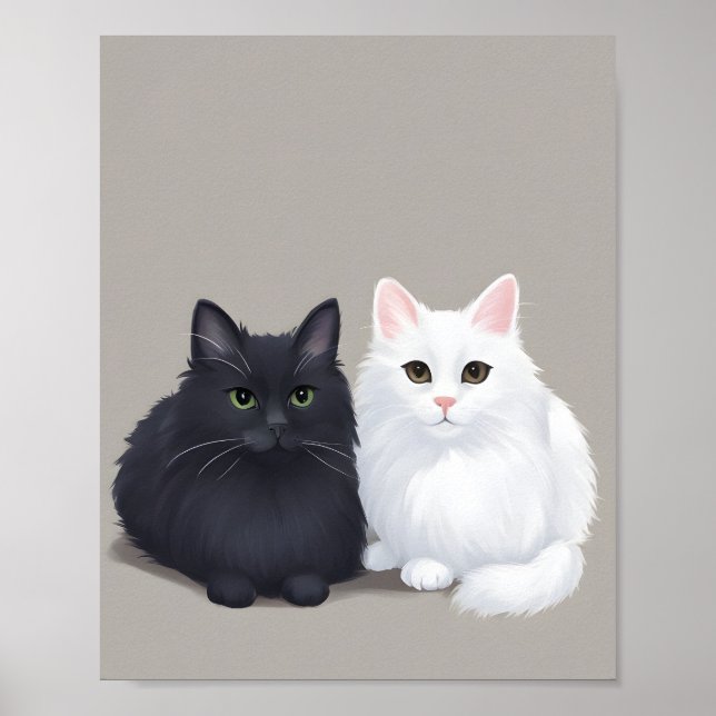 Affiche chat noir chat blanc (Devant)