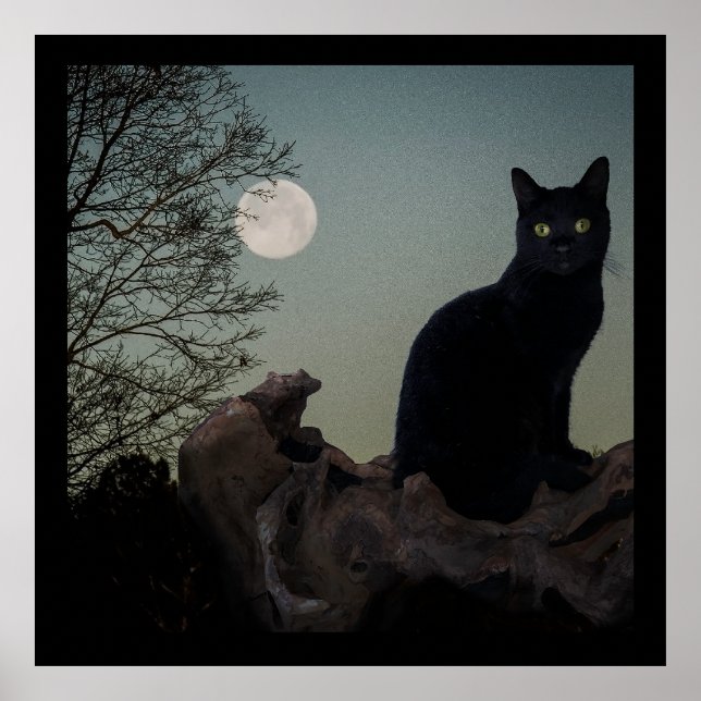 Affiche Chat noir dans un arbre devant une Pleine lune (Devant)