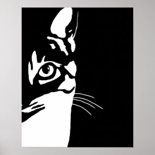 Affiche Chat noir et blanc 657