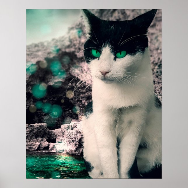 Affiche Chat Noir Et Blanc Yeux Vert Assis À Voir (Devant)