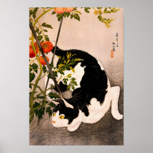 Affiche Chat noir et Plante à la tomate par Takahashi Hiro