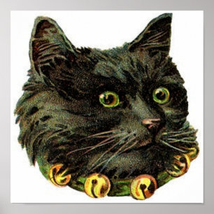 Affiche Chat noir victorien avec col de cloche