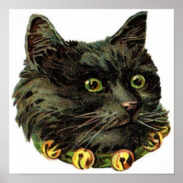 Affiche Chat noir victorien avec col de cloche (Devant)
