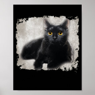 Affiche Chat Noir Yellow Eyes Sur Ma Chemise