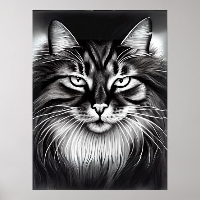 Affiche Chat norvégien en noir et blanc (Devant)