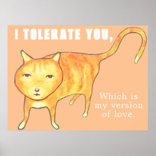 Affiche Chat Orange Apathique Tolérant