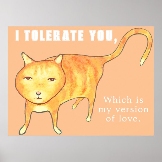 Affiche Chat Orange Apathique Tolérant (Devant)
