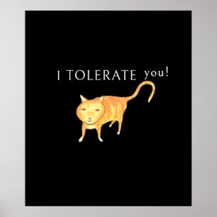 Affiche Chat Orange Tolérant Apathique
