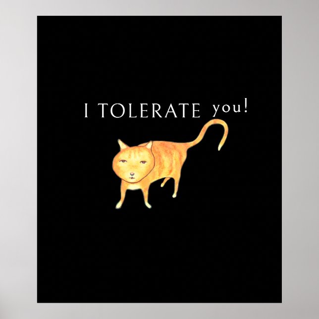 Affiche Chat Orange Tolérant Apathique (Devant)
