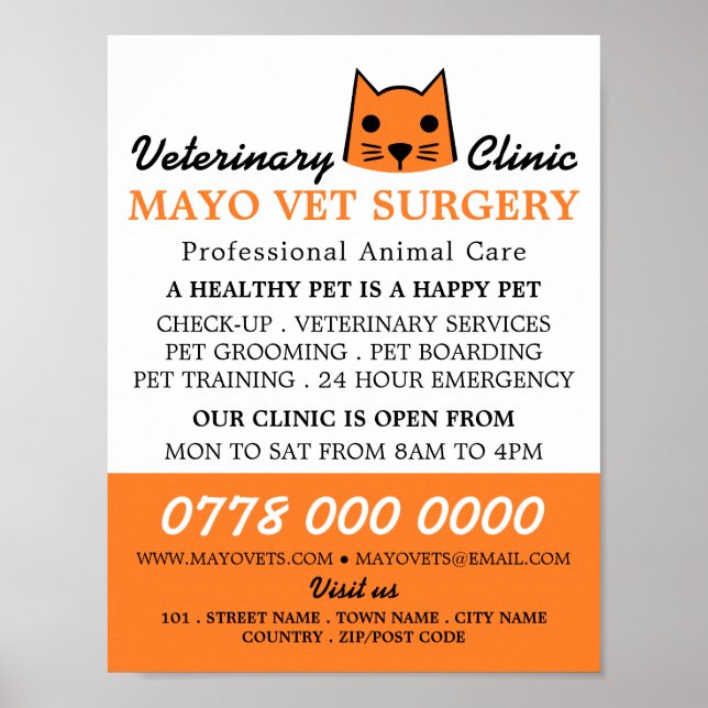 Affiche Chat orange, Vétérinaire, Service vétérinaire (Devant)