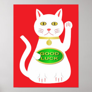 Affiche Chat Oriental Lucky
