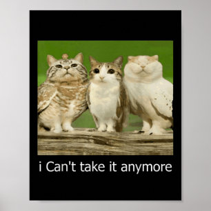 Affiche Chat Owl Drôle Meow Je Ne Peux Plus Le Prendre