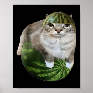 Affiche Chat pastèque Mème drôle 