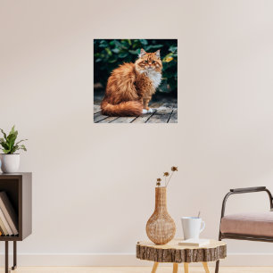 Affiche Chat perse orange